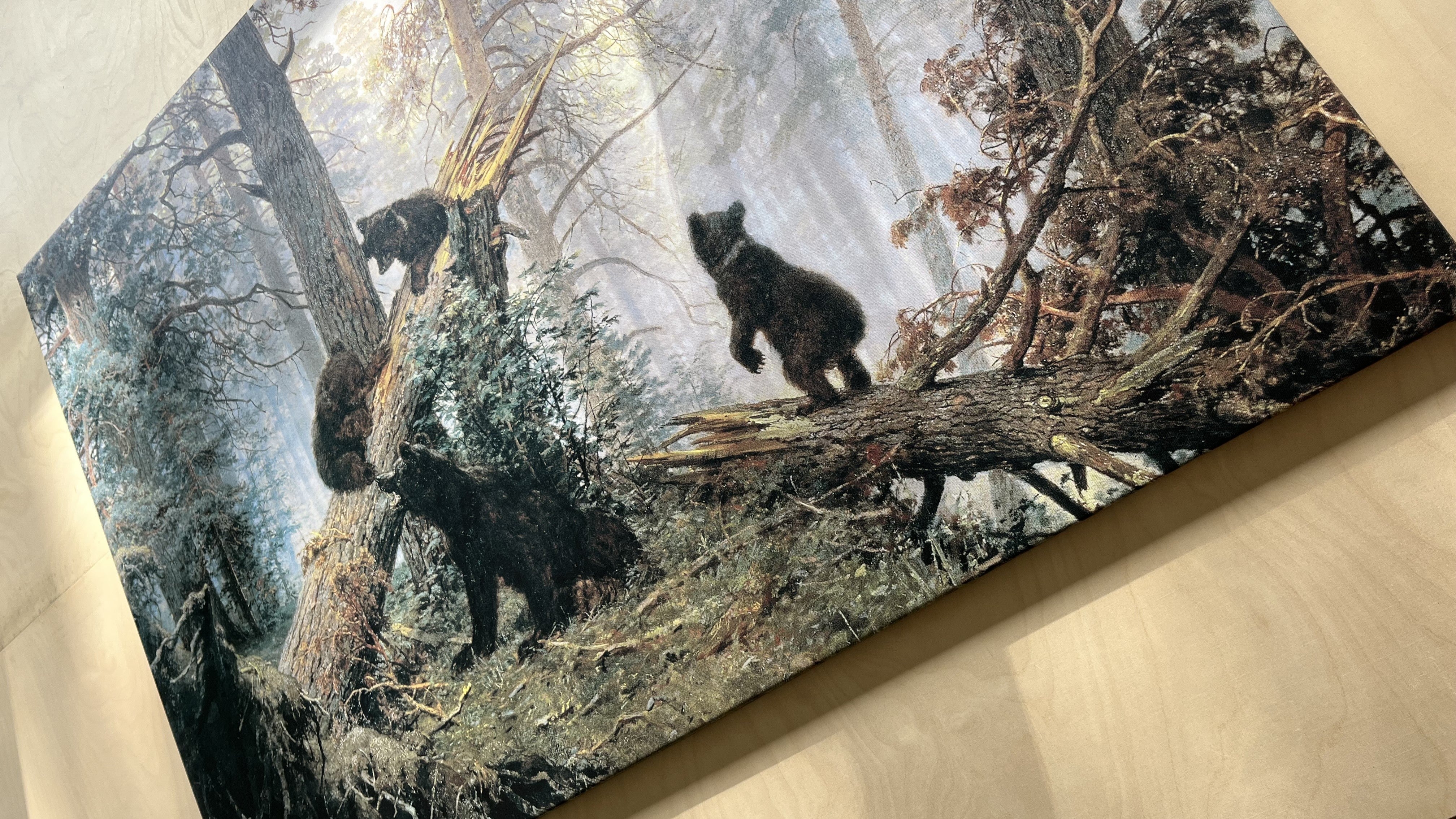 Kanvas druka – kāpēc foto kanvas ir tik populāras?